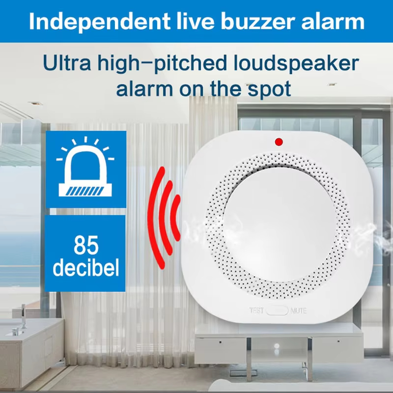 Smart Independent Smoke Detect - Smoke Detector Interconnected 评论和价格