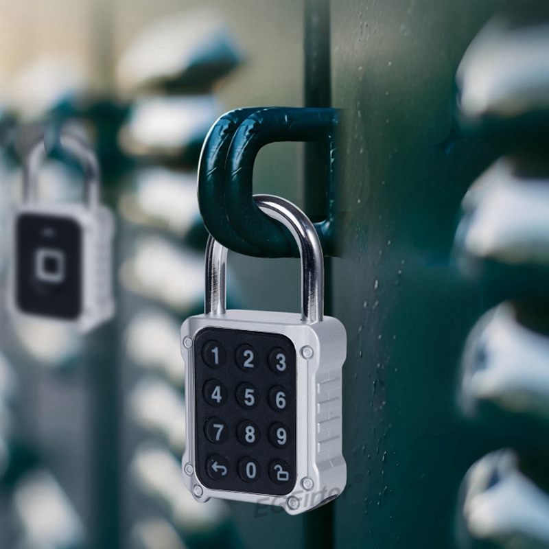 Tuya Bluetooth APP Remote Elec - Lockbox Key Secure 评论和价格