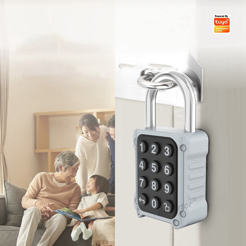 Tuya Bluetooth APP Remote Elec - Lockbox Key Secure 评论和价格