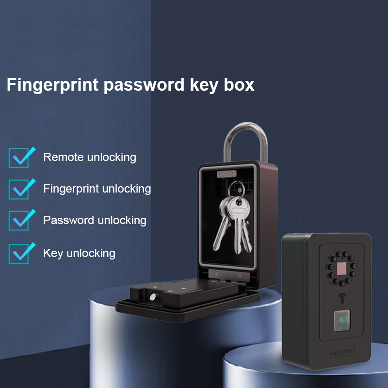 Intelligent Padlock Hang Desig - Lockbox Key Secure 评论和价格