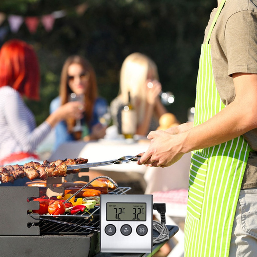 Silver Digital BBQ Meat Thermo - Pool Alarm Float 评论和价格