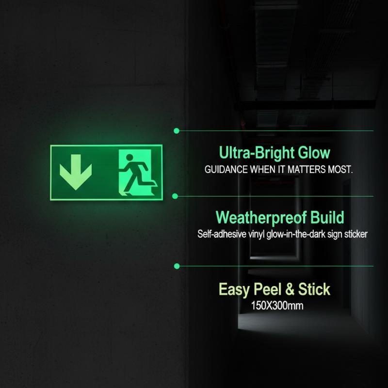 1 Sheet Glow-In-The-Dark Safet - Emergency Exit Sign 评论和价格