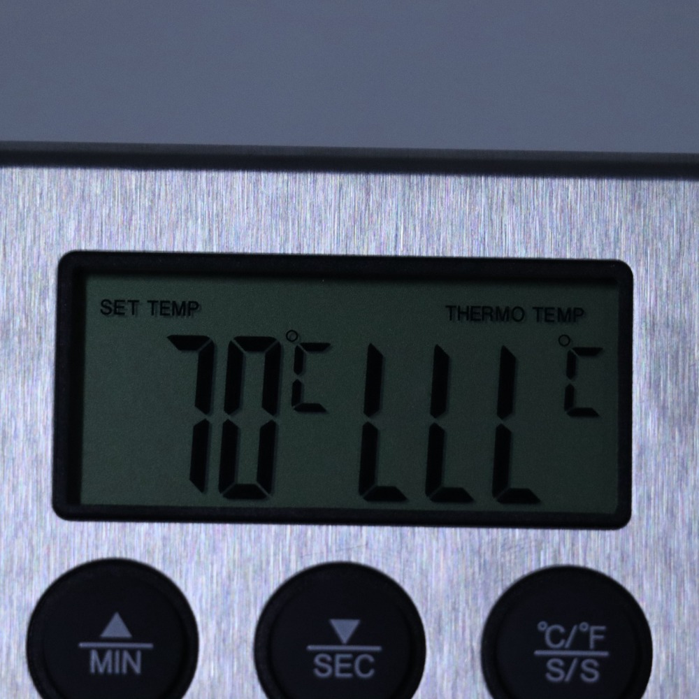 Silver Digital BBQ Meat Thermo - Pool Alarm Float 评论和价格