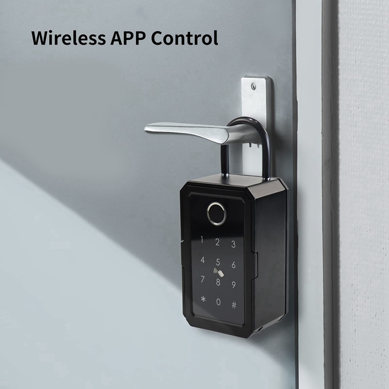 【Hot Cake】10X Smart Key Lock B - Lockbox Key Secure 评论和价格