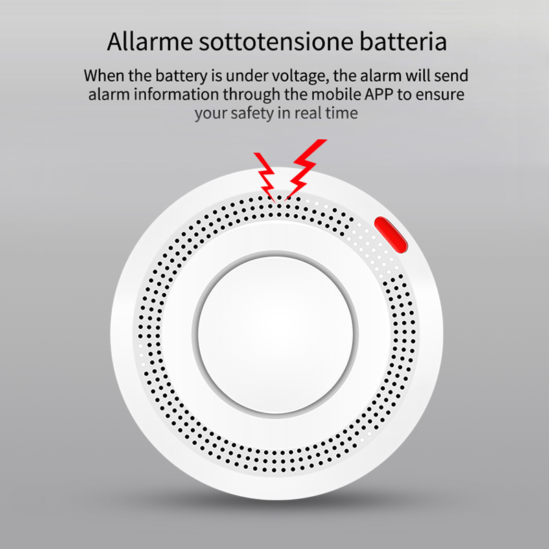 6Pack Tuya WiFi Smart Smoke Se - Smoke Detector Interconnected 评论和价格