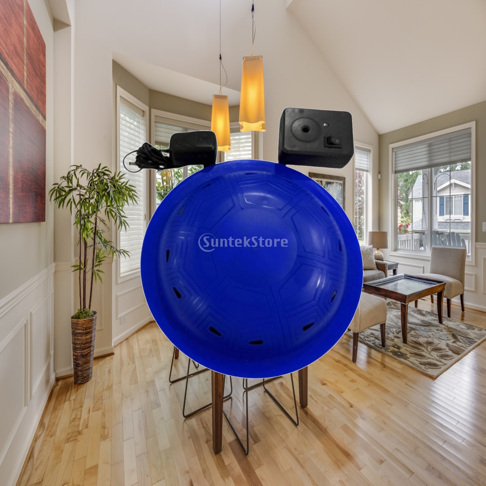 High Decibel Floating Pool Ala - Pool Alarm Float 评论和价格